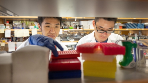 Two scientists working in a lab