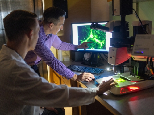 Two scientists look at a screen while working in a lab